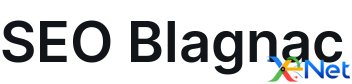 SEO Blagnac